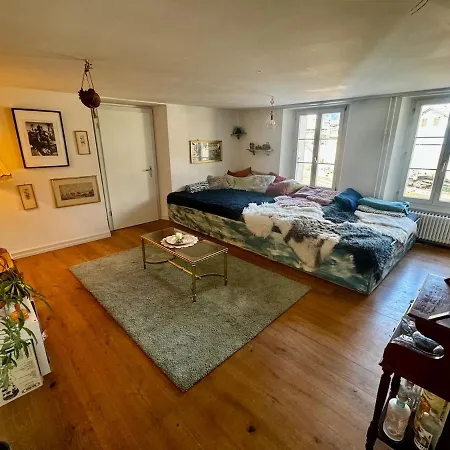 Cozy Nest Apartment Interlaken