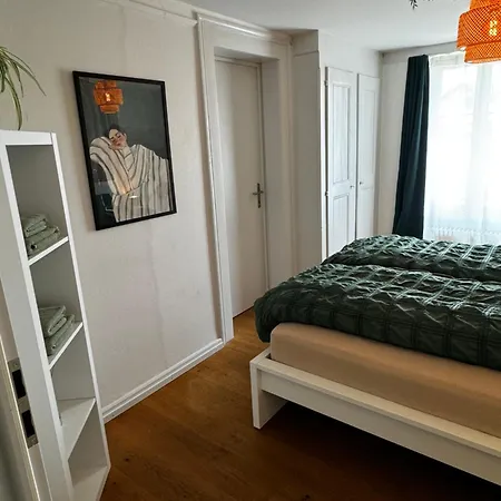 Cozy Nest Appartamento Interlaken