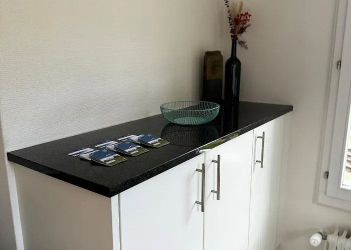 Cozy Nest 公寓 因特拉肯