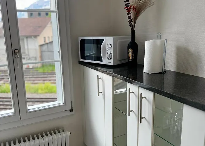 公寓 Cozy Nest 因特拉肯