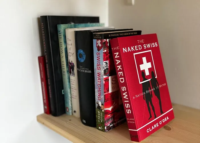 公寓 Cozy Nest 因特拉肯