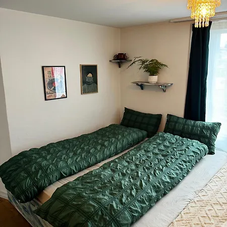 Cozy Nest 公寓 因特拉肯